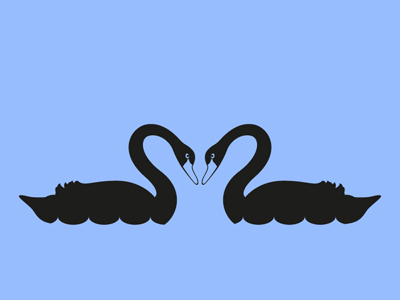 Black Swan Couple animal animals bird black swan couple daily pictogram elegant heart icon love pictogram romance swan swimming tumblr water