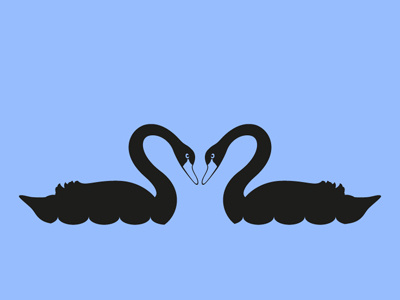 Black Swan Couple animal animals bird black swan couple daily pictogram elegant heart icon love pictogram romance swan swimming tumblr water