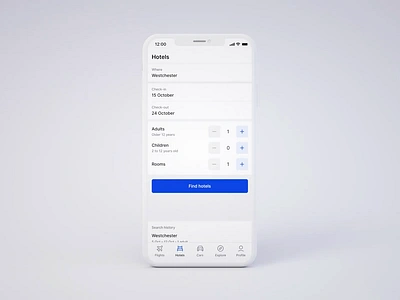 Radario — Hotel search adventure airlines animation car rental flight flight booking hotels journey mobile motion product design travel