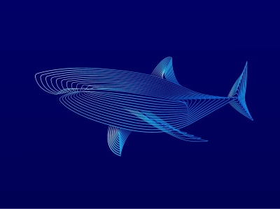 Blended animal art animal illustration blend tool graphicdesign illustration sealife shark vector