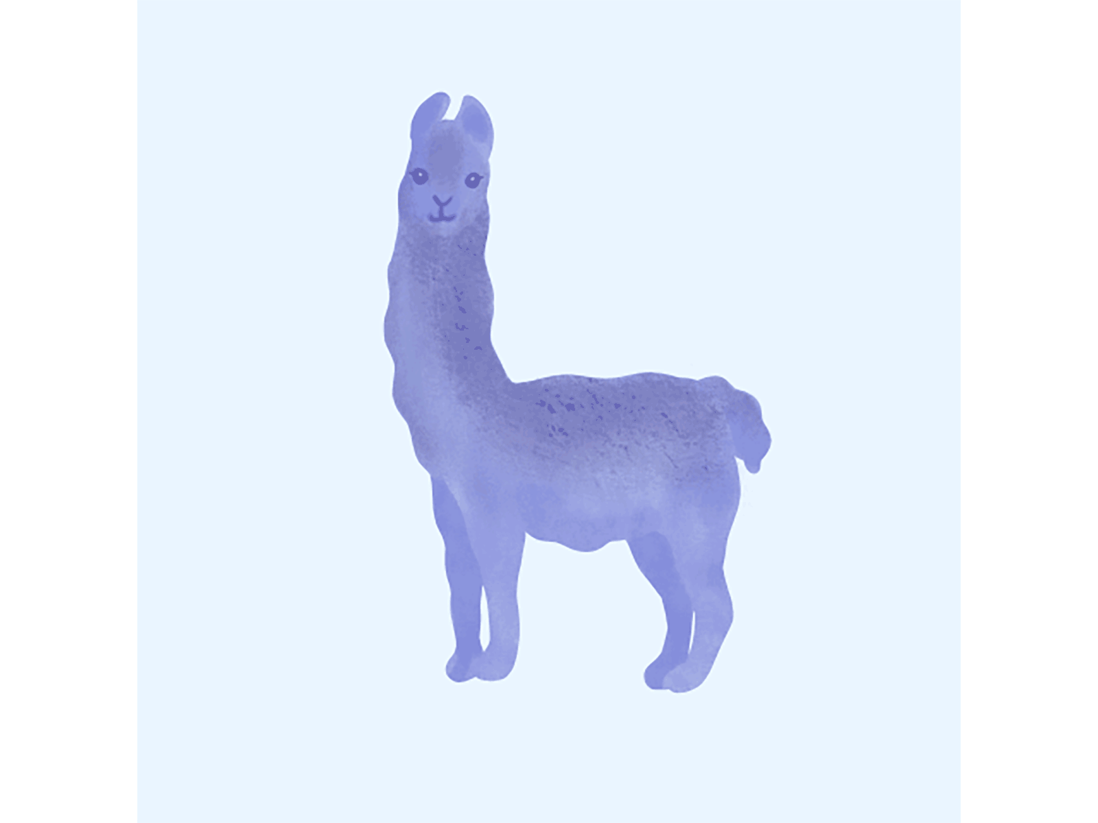 L is for Llama alphabet animation design frame by frame illustration illustration digital illustrations ipad lettering procreate