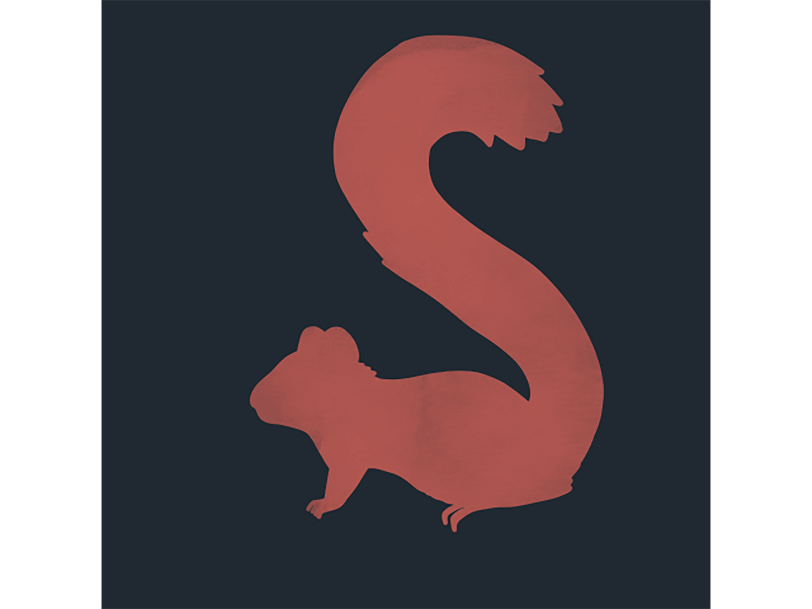 S is for Squirrel alphabet animation gif illustration ipad lettering motion design procreate typography