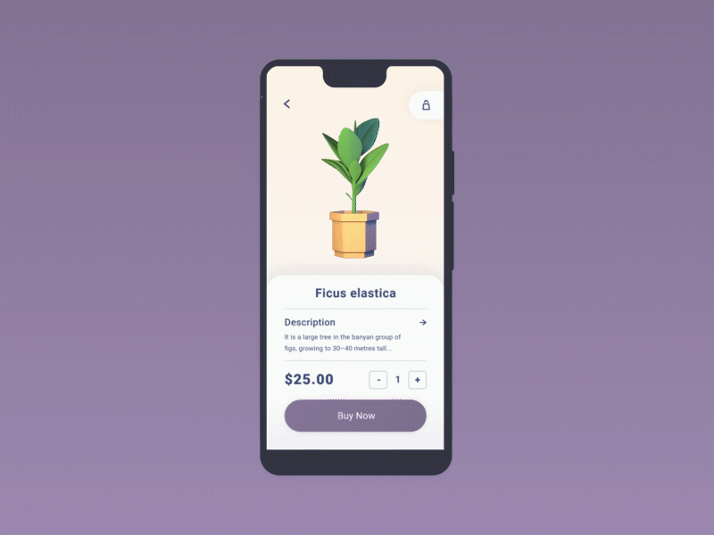 Daily UI 12 - E-Commerce Shop (Single Item) - Plant shop