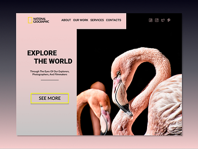 National Geographic font landing page ui ux web design