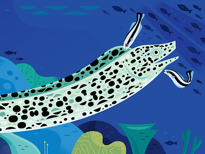 Just You and Me: Eel and Wrasse animal characters animals character design illustration kid lit art nature vector illustration wildlife