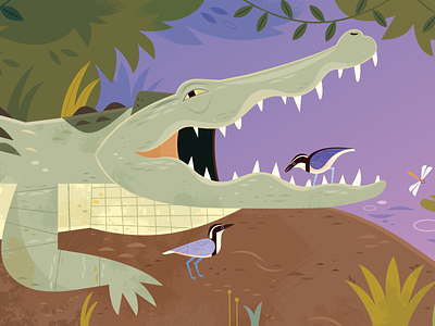Just You and Me: Crocodile and Plovers animal characters animals character design illustration kid lit art nature vector illustration wildlife