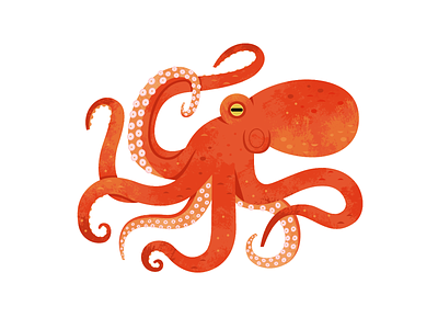 Giant Pacific Octopus animals aquarium illustration nature ocean octopus spot illustration vector wildlife