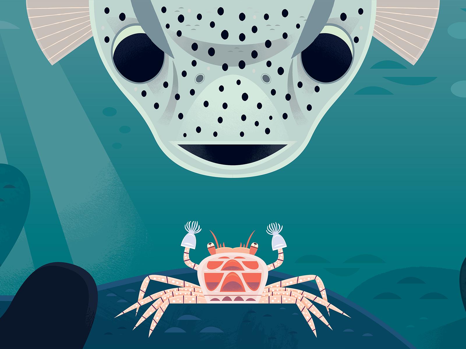 Boxer Crab adobe illustrator animals aquarium childrens book fish illustration kidlitart nature ocean picture book vector wildlife