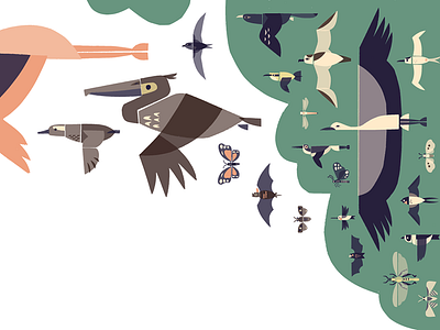Migration, on the wing animal design animal illustration animals bats birds design graphic design illustration insects pattern surface design vector illustration