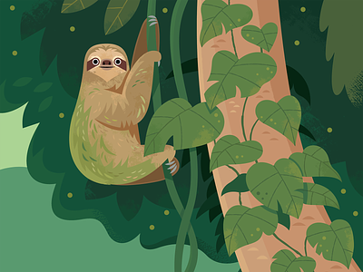 Sloth animals design illustration kidlitart nature rainforest sloth vector wildlife