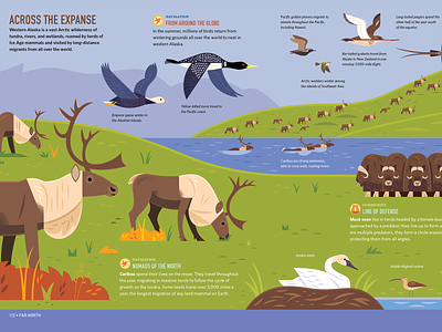 Across the Expanse alaska animals birds book design caribou childrens books design illustration infographic kidlitart nature science science illustration vector wildlife