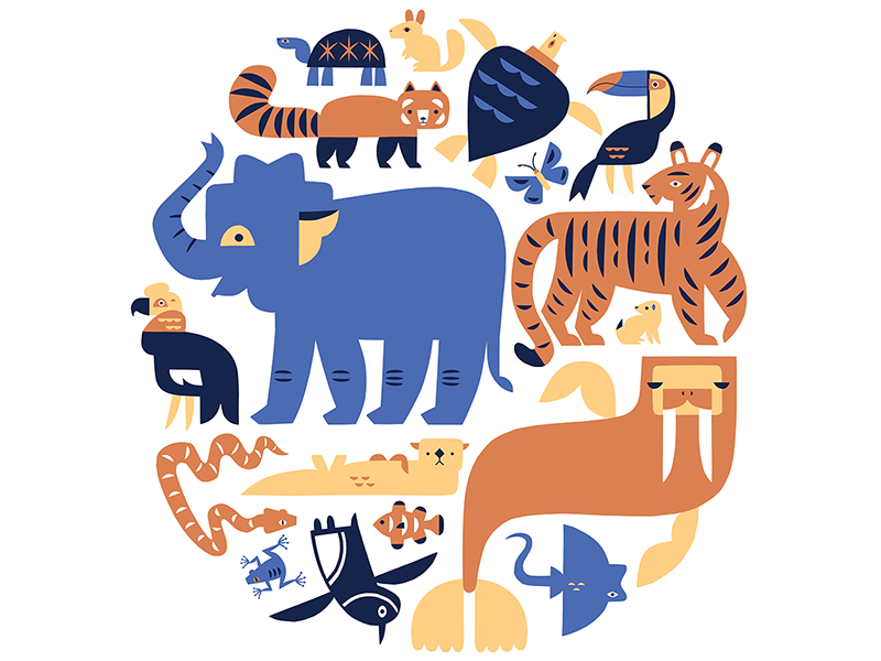 Wildlife Conservation Society by Alexander Vidal on Dribbble