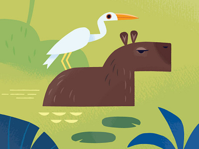 Capybara animals capybara conservation editorial illustration illustration rodent south america travel illustration wildlife