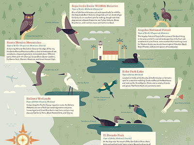 Birding Los Angeles bird bird illustration california city map icon icon design illustrated map los angeles map map design nature scientific illustration