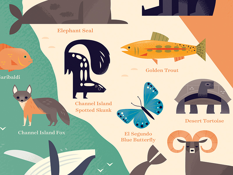 Animals of Southern California by Alexander Vidal on Dribbble