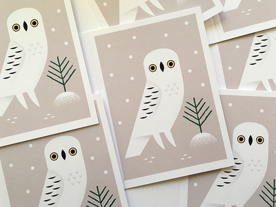 Snowy Owl