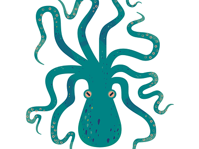 Octopus animal design illustration nature ocean octopus sealife spot illustration wildlife