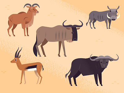 Assorted African Ungulates