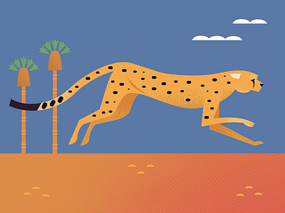 Cheetah africa african animals animal icons animals icons illustration nature spot illustration wildlife