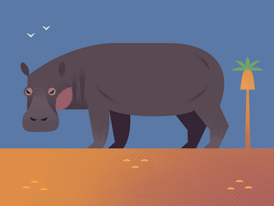 Hippo africa african animals animal icons animals icons illustration nature spot illustration wildlife