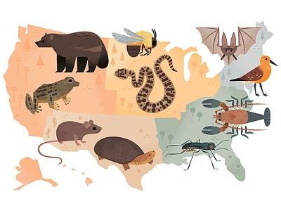 Endangered Species Map animals illustration map map design nature wildlife