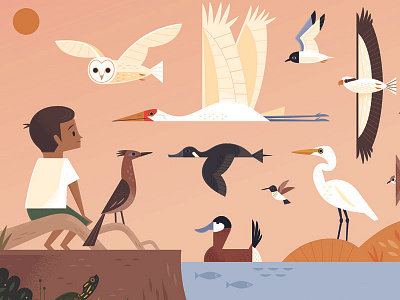 Bosque del Apache animal illustrations animals bird illustration birds childrens book illustration illustration nature wildlife
