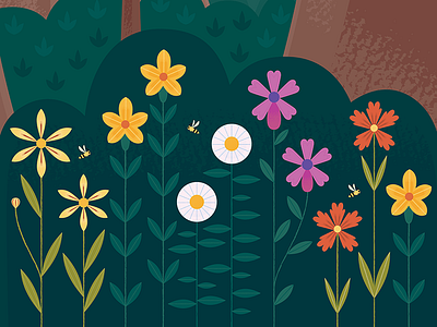 Wildflowers of Sequoia botanical california design flowers illustration nature springtime wildflowers