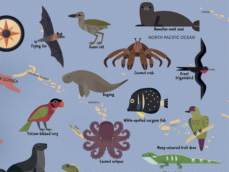 Animals of the South Pacific by Alexander Vidal on Dribbble