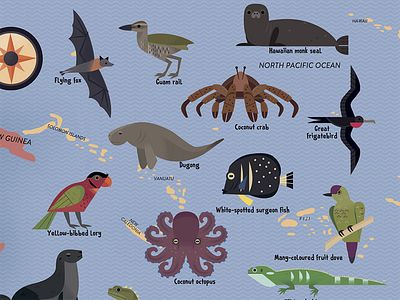 Animals of the South Pacific animal map animals icon design icons illustration map map design nature wildlife