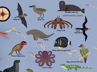 Animals of the South Pacific