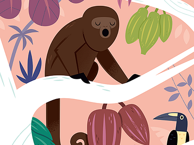 Cacao animals chocolate food food illustration illustration jungle mexico monkey nature