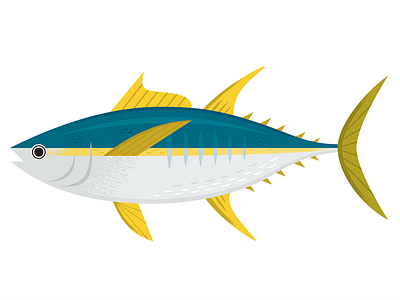 Tuna by Alexander Vidal on Dribbble