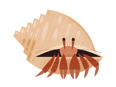 Hermit Crab animals aquarium beach crab icon design icons illustration nature ocean science wildlife