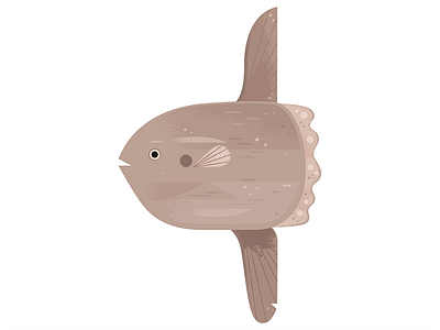 Sunfish animal illustration animals fish icon illustration nature ocean science spot illustration wildlife