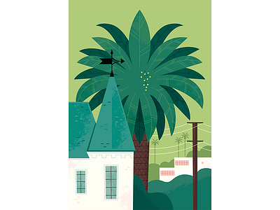 Palm Tree