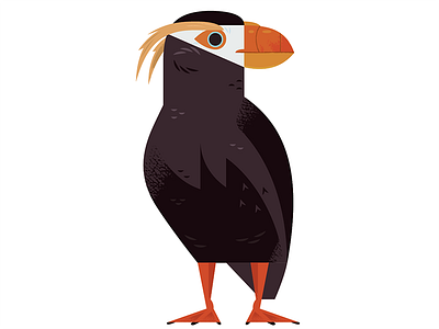 Tufted Puffin