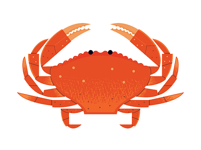 Dungeness Crab adobe illustrator aquarium crab food food icon icon illustration ocean science seafood vector wildlife