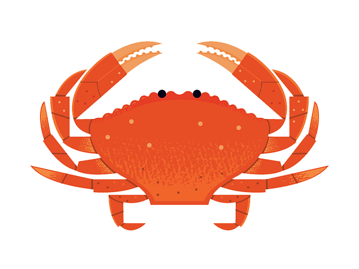 Dungeness Crab By Alexander Vidal On Dribbble