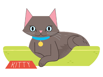 Cat animals cat illustration kitten pets