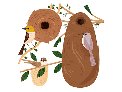 Nests adobe illustrator animals bird nests birds childrens book illustration nature nests science vector wildlife