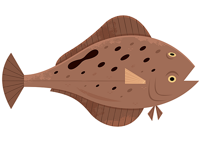 Flounder adobe illustrator animals fish icon illustration ocean seafood vector