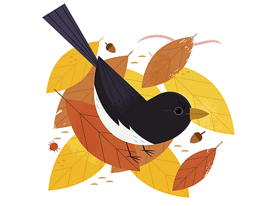 Leaf Litter adobe illustrator animal autumn bird bird watching birds fall nature vector wildlife