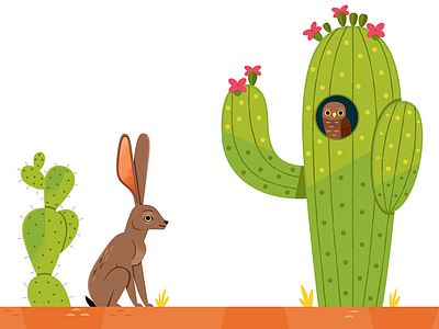 Sonoran Desert animals cactus children childrens book illustration desert illustration jackrabbit nature owl travel vector wildlife