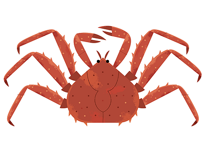 King crab alaska animals crab design food food icon illustrated food illustration nature seafood wildlife