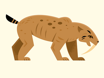 Smilodon animals design extinct illustration prehistoric science smilodon vector wildlife