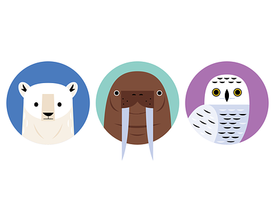 Arctic Icons animal icons animals arctic icon design icons nature owl polar animals polar bear science walrus wildlife