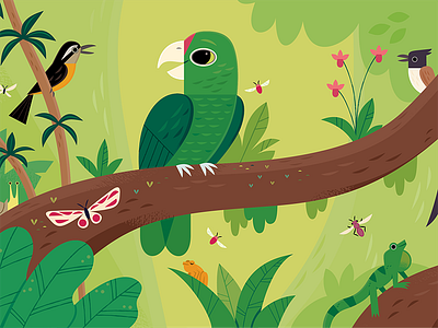 Iguaca animals birds character design childrens books illustration kids lit nature vector wildlife