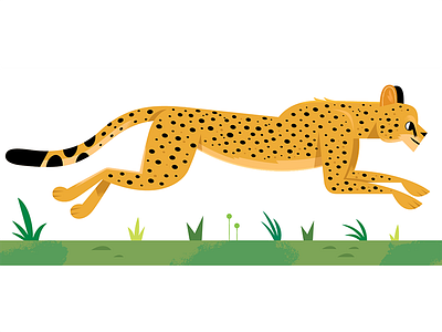 Cheetah africa african animals animals cheetah childrens childrens book design illustration kids lit nature vector wildlife