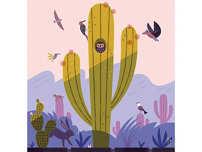 Saguaro animals cactus desert desert wildlife illustration national parks nature owl saguaro vector wildlife