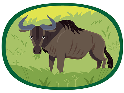 Wildebeest